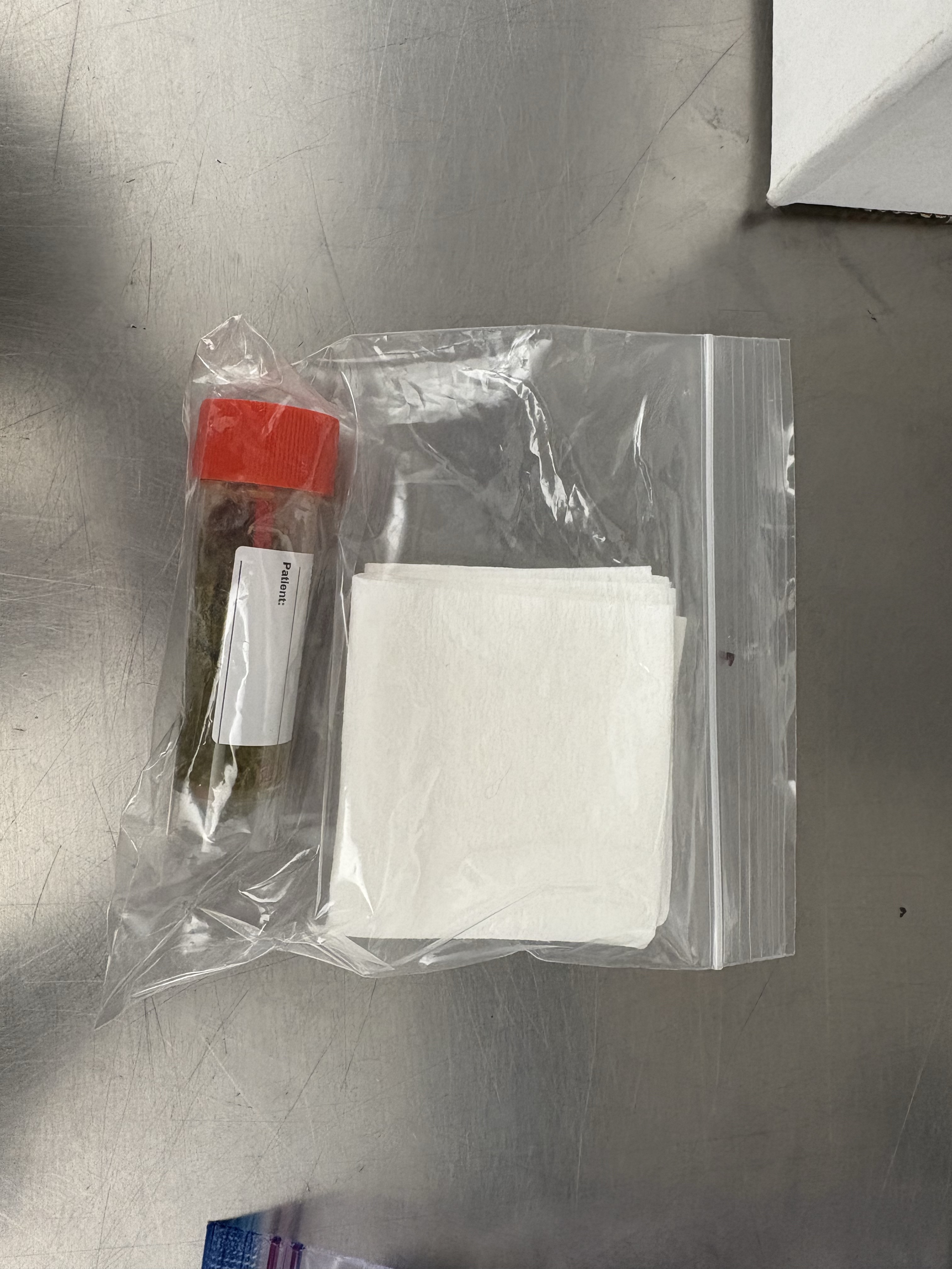 Individual sample vials grouped inside a sealed plastic bag containing absorbent sheets.