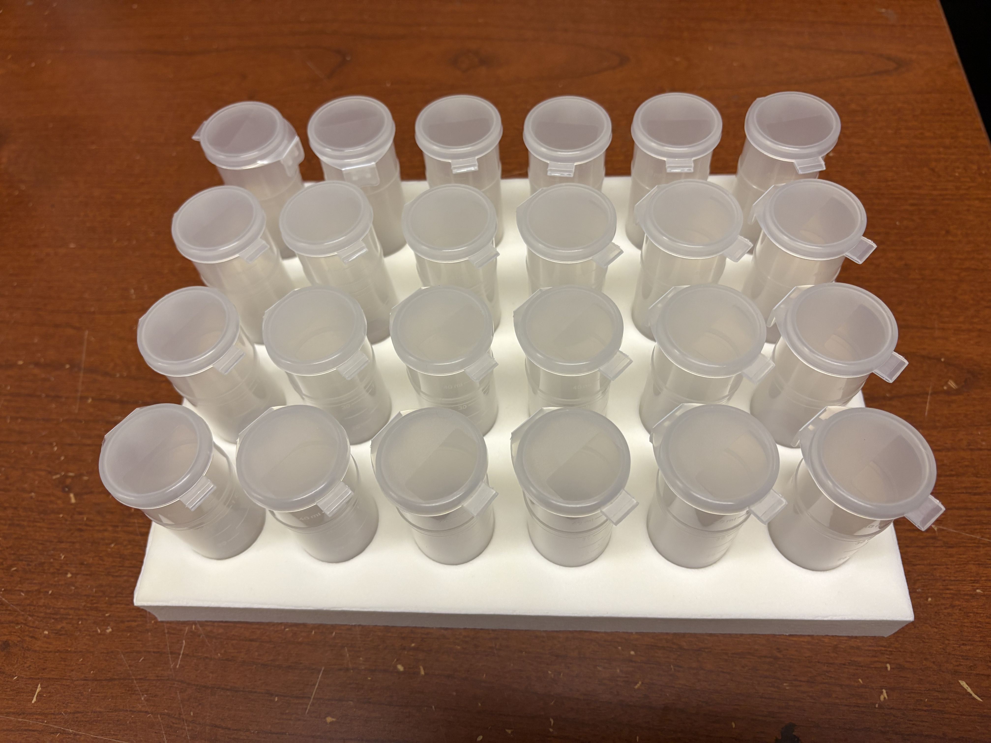 Foam vial rack loaded with plastic sample tubes stored inside a cardboard shipping box.
