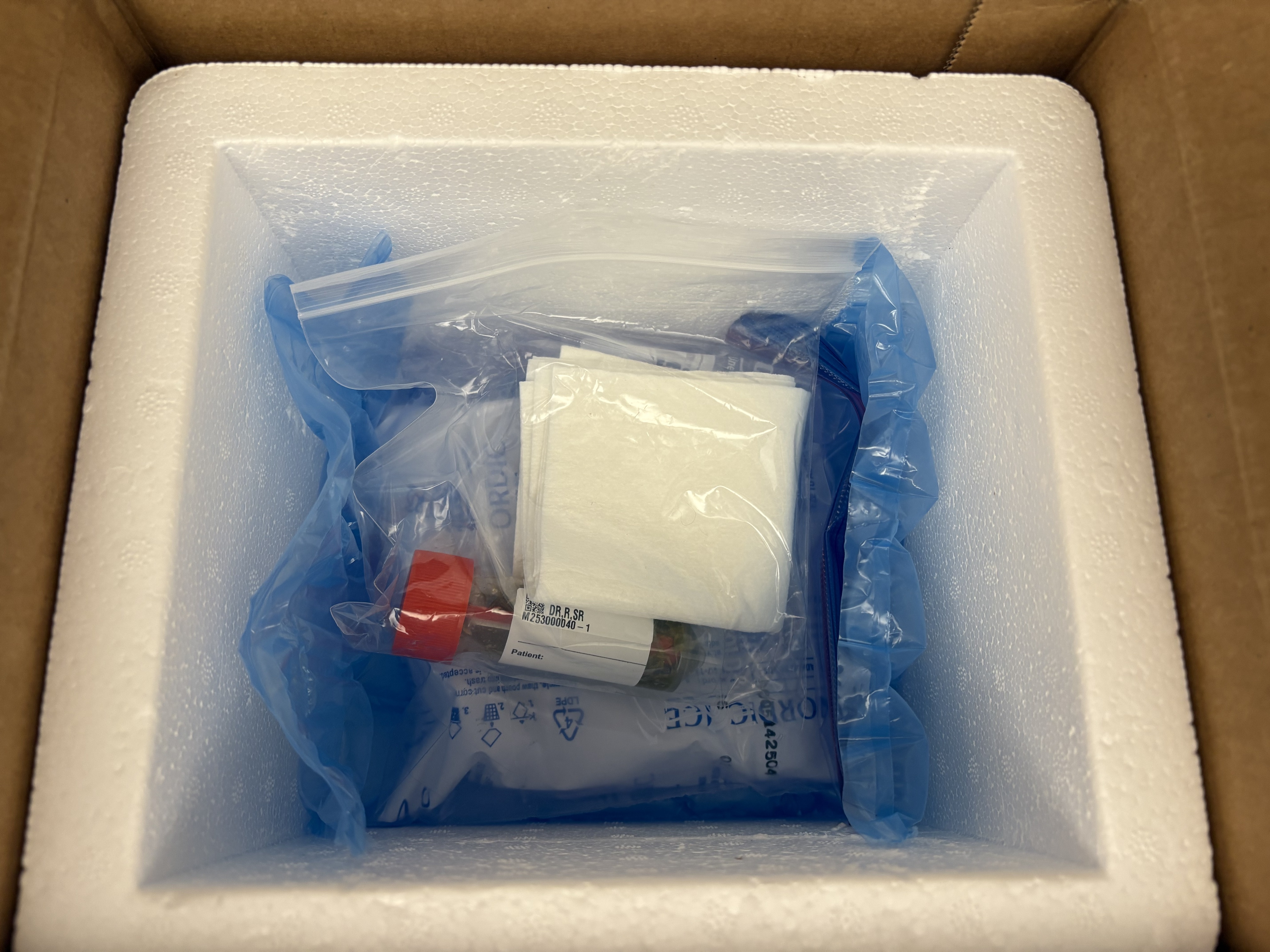 Plastic-bagged samples positioned firmly inside a rigid white styrofoam container nested within an outer cardboard box.