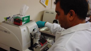 Dr. Keshaw Tiwari practicing sectioning at the microtome.